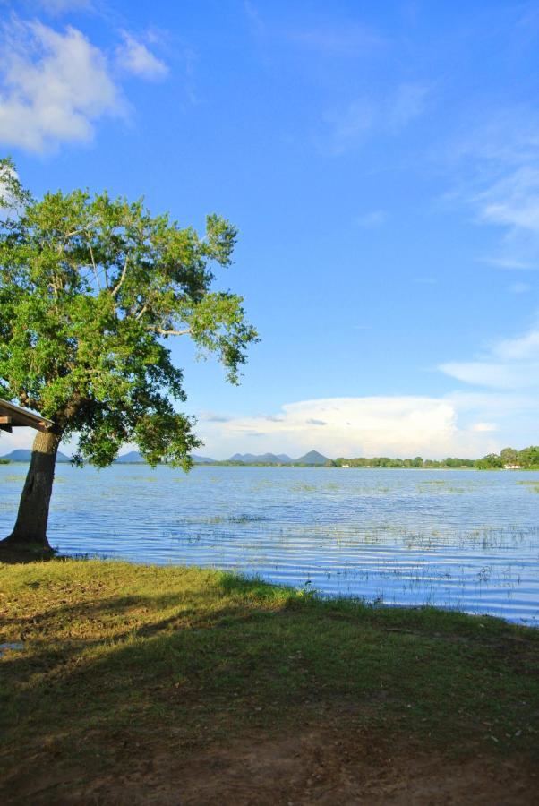 Flower Garden Lake Resort Tissamaharama Exterior photo